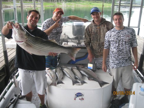 Nice Striped Bass